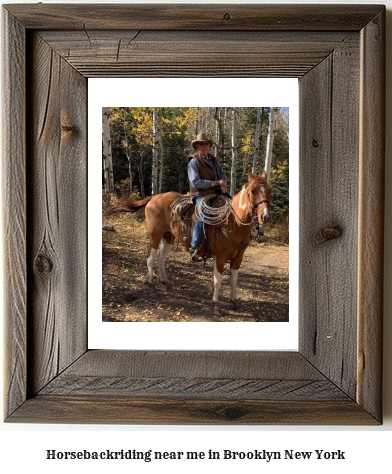 horseback riding near me in Brooklyn, New York